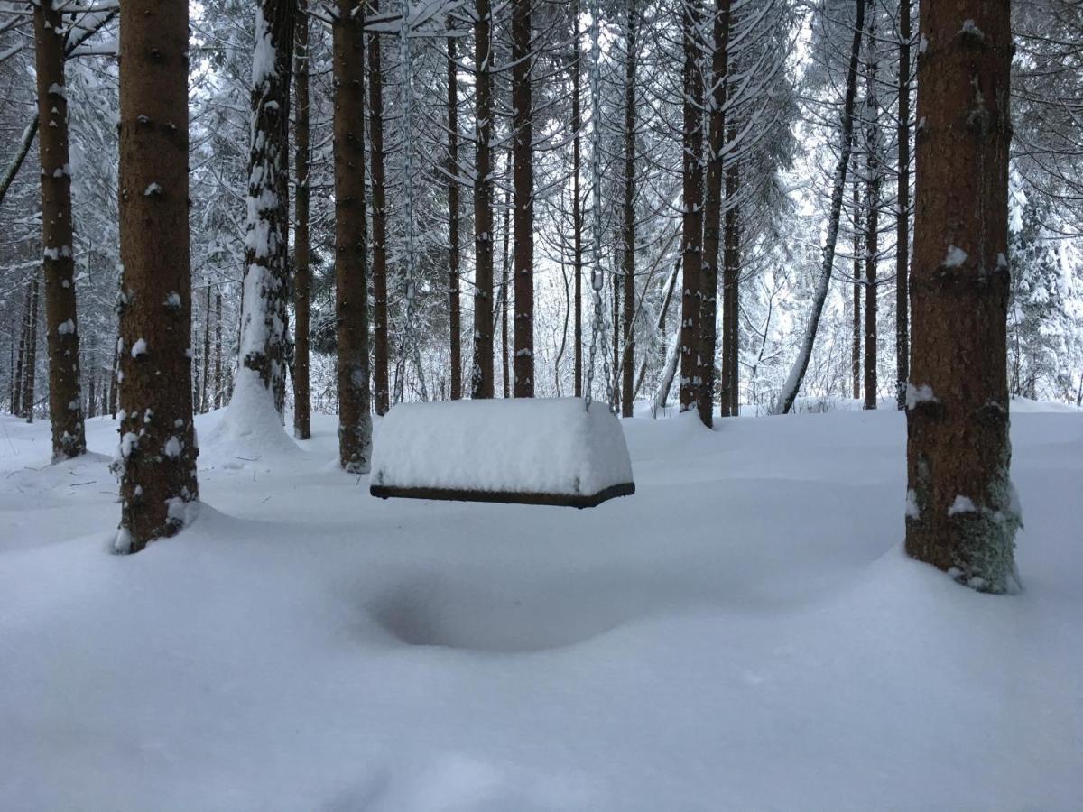 Alla Casetta B&B Cesiomaggiore Zewnętrze zdjęcie