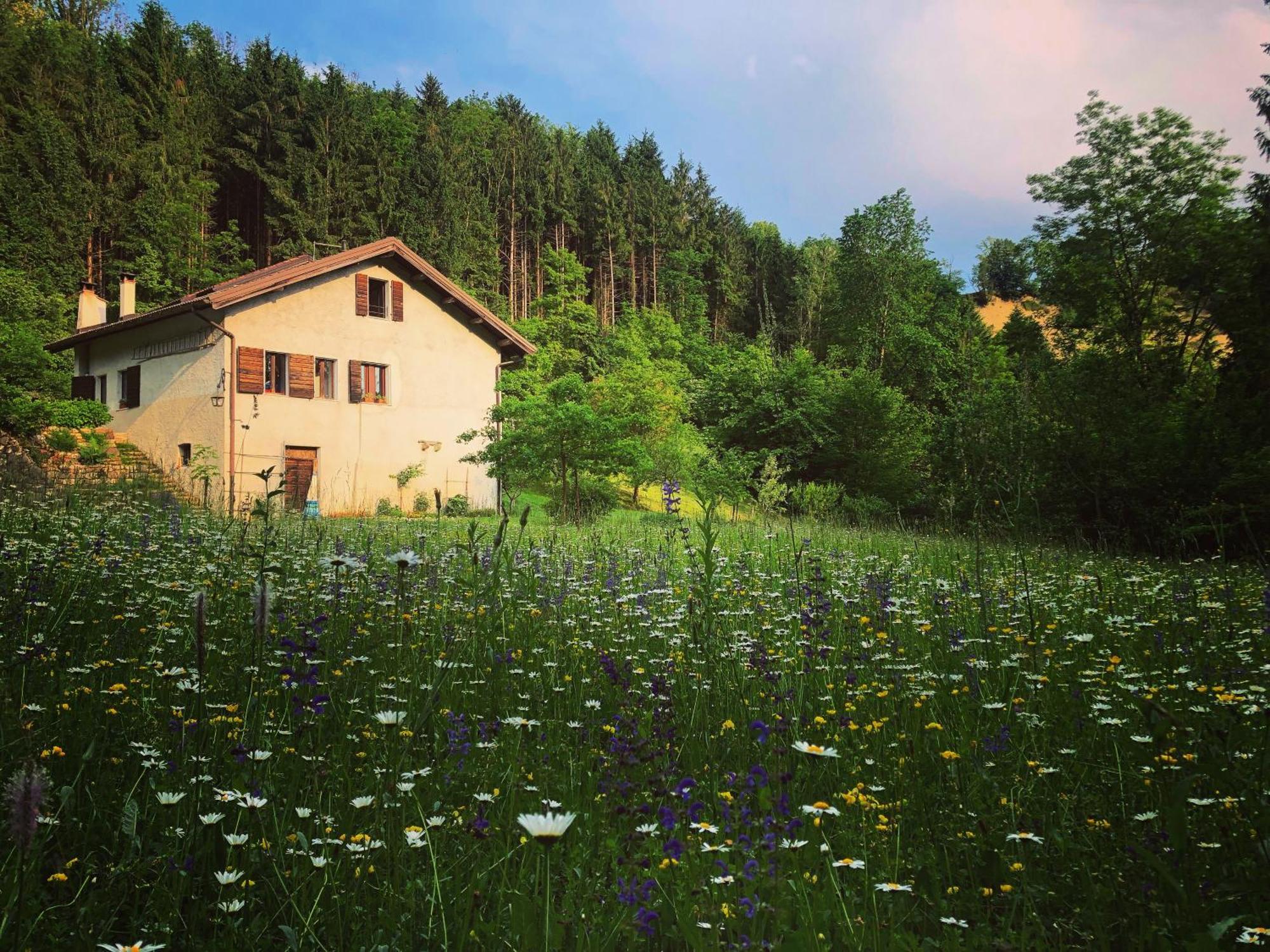 Alla Casetta B&B Cesiomaggiore Zewnętrze zdjęcie