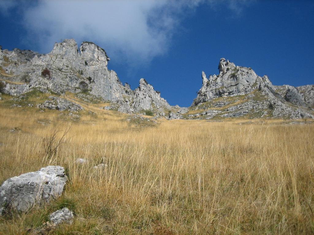 Alla Casetta B&B Cesiomaggiore Zewnętrze zdjęcie
