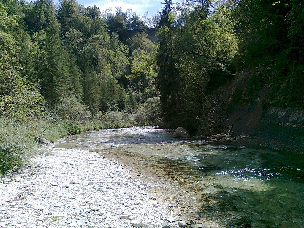 Alla Casetta B&B Cesiomaggiore Zewnętrze zdjęcie